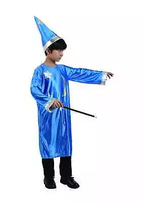 Northlight Blue Wizard Gown Hat And Wand Boys 10-12 Halloween Costume XL • $23.93