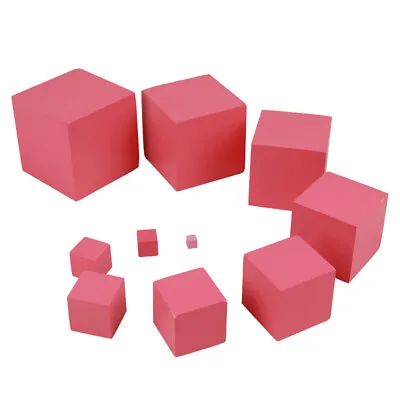 Montessori Materials Pink Tower Early Childhood Education Preschool Kids Toy  ZP • $17.58
