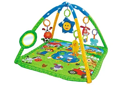 Lay & Play Baby Playmat Premium Farm Yard Animal Activity Play Mat With Toys • £179.94