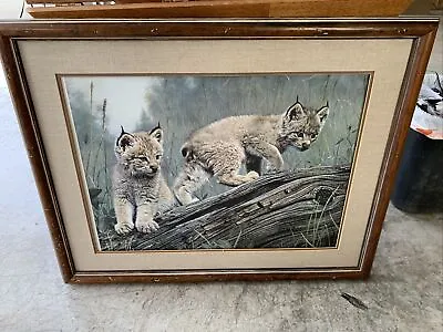 Charles Frace Print   Double Trouble  Wildlife Art Signed With COA 28x35 Framed • $249