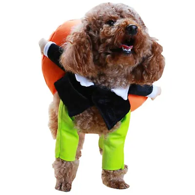 £7.19 • Buy New Funny Pumpkin Pets Dog Cat Cosplay Halloween Clothes,Party ,Standing Outfit