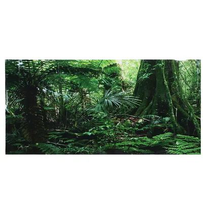 £6.17 • Buy PVC Rainforest Reptile Aquarium Terrarium Tank Background Self Adhesive Sticker