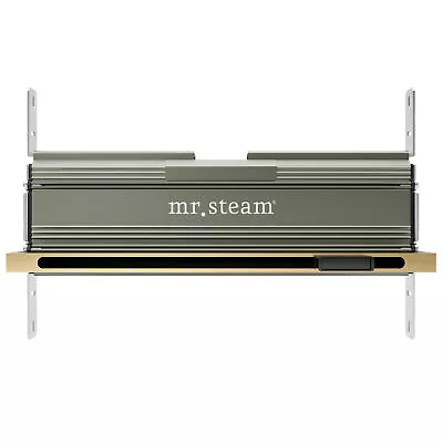 Mr. Steam 104480SB Linear 16 In. Steam Head With AromaTray In Satin Brass • $630