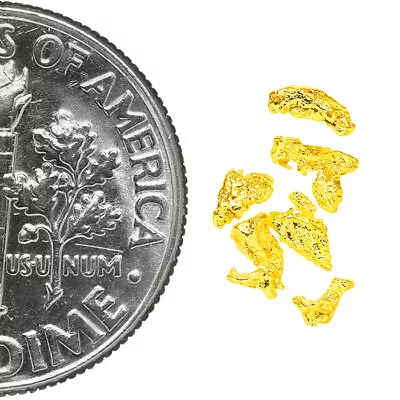 0.2340 Gram Alaska Natural Gold Nuggets - (#77207) - 6pcs Alaskan Gold Nuggets • $0.01