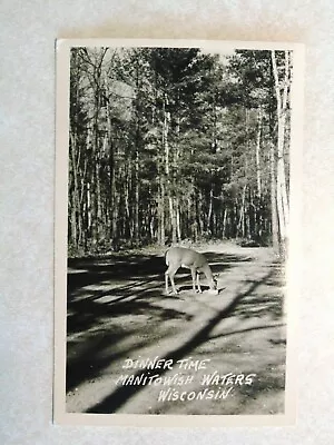 C2188 Postcard RPPC WI Wisconsin Manitowish Waters Dinner Time Deer Eating Bowl • $5.99