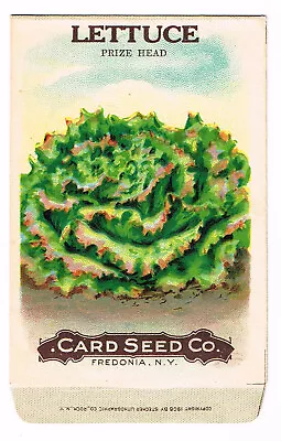 Vintage Card Seed Packet Flowers Advertising C1910 Lettuce Prize Head Folk Art R • $4.95