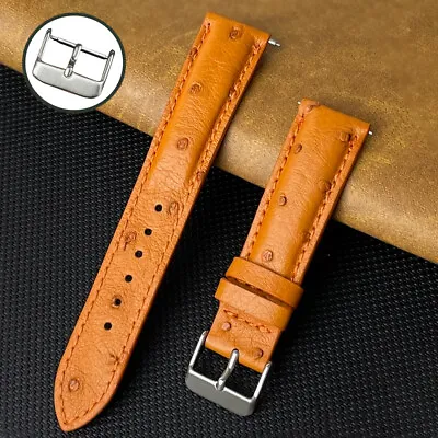 Genuine Ostrich Watch Band Padded Soft Leather Watch Strap Quick Release Classic • £20.40
