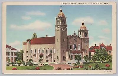 Church & Religious~Corpus Christi Cathedral Corpus Christi TX~Vintage Postcard • $2.70