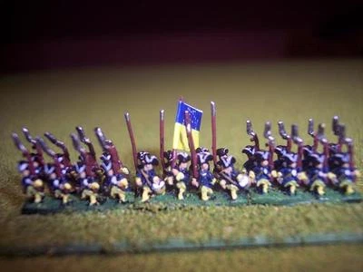 6mm Great Northern War Swedish Army • £130