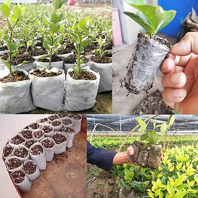 £5.68 • Buy 100/400PCS Biodegradable Non-Woven Nursery Bag Plant Grow Seedling Seed Pots UK