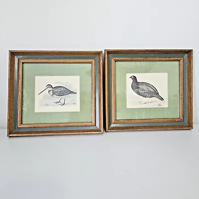 Vtg Wildbird Framed Art Print Bird Lithograph Grouse Wildfowl Matted 60s • $45