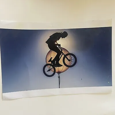 $18 • Buy 13x19” Bmx Biker Bike Flip X Games High Res Print Sean Daigle