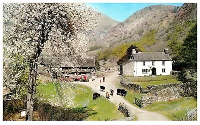 Postcard Yew Tree Farm Coniston Lake District England  • £2.50