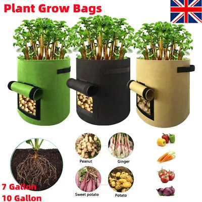 Plant Grow Bags 7/10 Gallon Potato Fruit Vegetable Garden Planter Growing Bag UK • £4.99