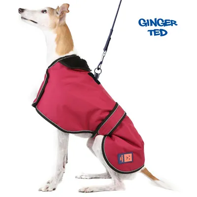 £32.99 • Buy Ginger Ted UK Shower Waterproof Greyhound Whippet Lurcher Harness Coat / Jacket