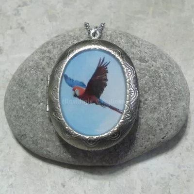 Parrot Locket Pendant Necklace Macaw Jewelry Stainless Steel • $50.76