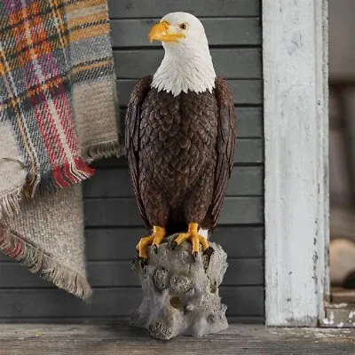 Eagle Statue Brown White Resin Garden Figurine Majestic Mountain Bird Sculpture • $123.75