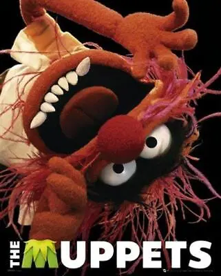 The Muppets : Animal - Mini Poster 40cm X 50cm New And Sealed • $9.18