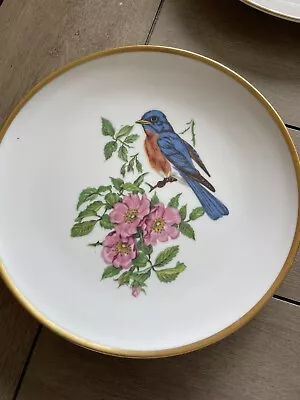 Vintage Schumann Arzberg Germany Golden Crown E&R 1886 Bavaria Blue Bird Plate • $5