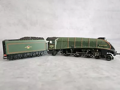Hornby 60031 Golden Plover LNER Tender Stam Locomotive BR Green Livery  • £65