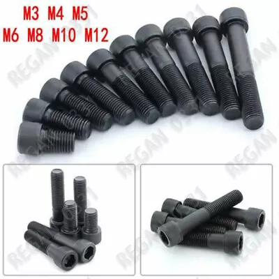 M3 M4 M5 M6 Black Alloy Steel Allen Hex Socket Cap Head Screw Bolt Grade 12.9 • $6.66