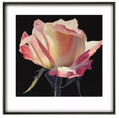 Ed Mell 'Rose' Fine Art Print Various Sizes • $40.36