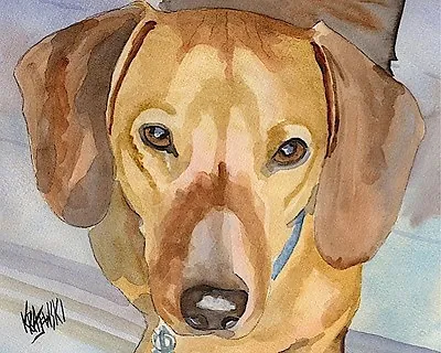 Dachshund Dog 11x14 Signed Art PRINT From Painting RJK • $31.50