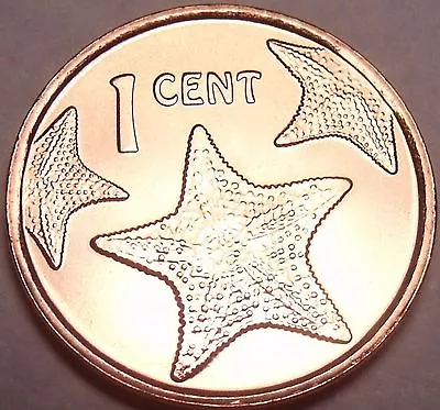 Gem Unc Bahamas 2014 1 Cent~Starfish Coin~We Have Gem Coins For Collectors~Fr/Sh • $2.99