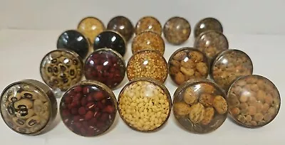 Lot Of 19 Vintage Suspended Seeds Herbs Beans Lucite Drawer Pull Cabinet Knobs • $48.95