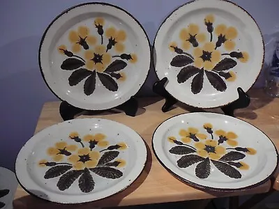 4 Midwinter Stonehenge PRIMULA Dinner Plate 10.5  Yellow Flowers  • $48.99