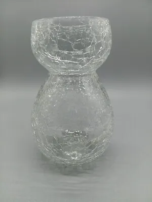 Vintage Clear Crackle Glass Hyacinth Bulb Starter Vase • $10