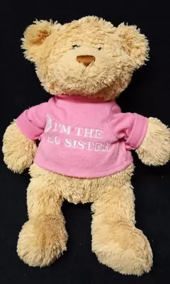 Big Sister Teddy Bear Soft Plush 12  Gund  I'm The Big Sister   • $12.95