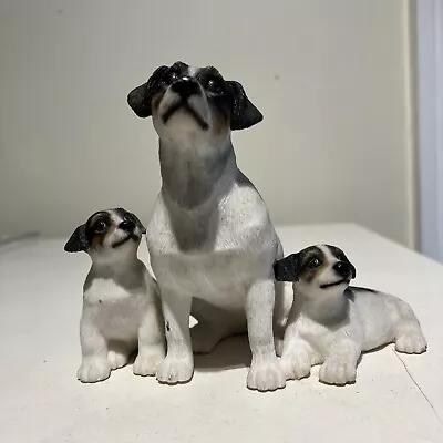 Jack Russell Mother And Puppies Leonardo • £10