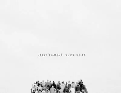 WHITE NOISE [Hardcover] Diamond Jesse • $10.51