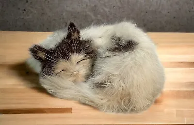 Vintage Real Rabbit Fur Sleeping Kitty Cat 5” Realistic Looking Black White • $15