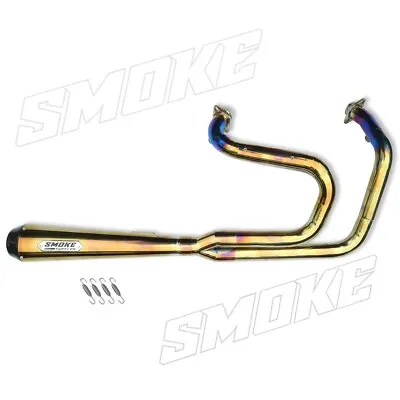 1998-2022 Harley Sportster 1200 883 Exhaust System Pipes 2 Into 1 Custom Fit • $451.25