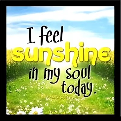 I Feel Sunshine In My Soul Today Grass Mountain Sky Clouds -MAGNET • $4.73