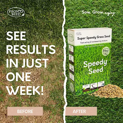 Grass Seed Fast Growing Hard Wearing Lawn Grass Seed | New Lawns & Patch Repair • £8.99