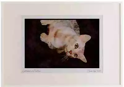 Cats Kittens 336094 Mau Mau Mau Watercolour Picture Frame Ltd Ed A2 • £66.99