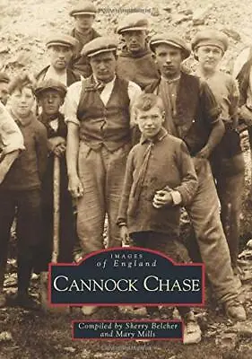 Cannock Chase By Sherry Belcher (Paperback 1994) • £15.25