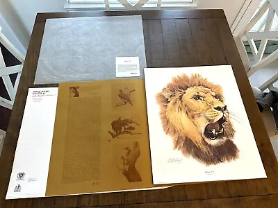 VTg. GUY COHELEACH 1971 L.E. SIGNED  AFRICAN LION  26 X21  ART PRINT DETROIT • $65