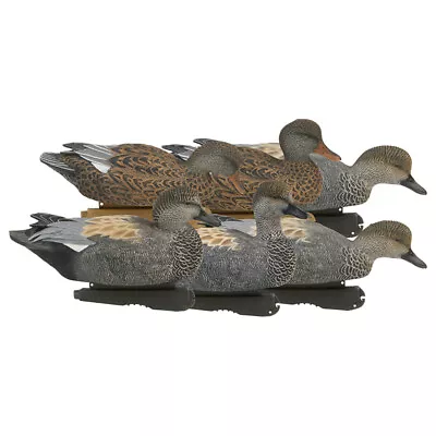 Green Head Gear 73145 Pro-Grade Gadwalls Duck Decoys 6 Pack • $79.99