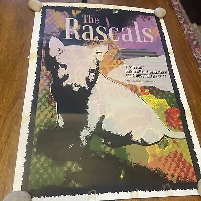 Cool Music Merch Poster Miles Kane Rascals Dog Art  Bright Large Authentic #2 • £65