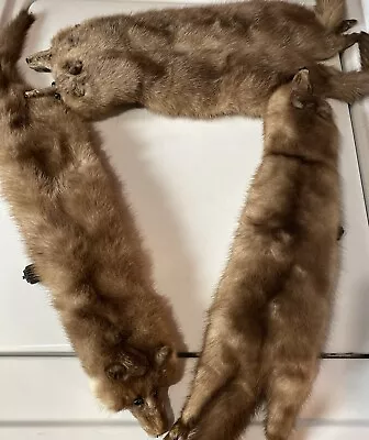 Vintage Mink Fur Stole Wrap 4 Pelts Heads Feet Tails  Clean Clips • $20