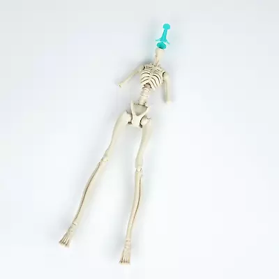 Monster High - Skelita Calaveras - Art City Scarnival - Nude Skeleton Body Only • $30.49
