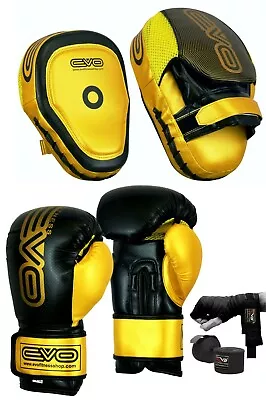 EVO MMA Boxing Gloves Focus Pads Set Muay Thai Martial Arts UFC PRO Training Bag • $44.19