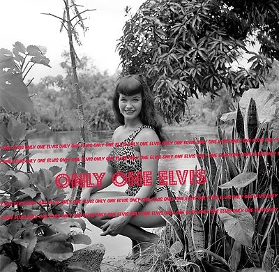 $49.88 • Buy 1954 BETTIE PAGE 30x30 LARGE Photo  QUEEN OF PIN-UPS  Squatting In CHEETAH SUIT 