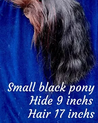 Horse Hair On Hide Black Pony Tail • £35