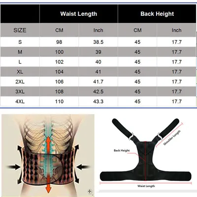 $17.63 • Buy US STOCK Heavy Lifting Lumbar Back Waist Support Belt Brace For Work Men/Women