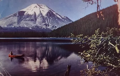 Mt St Helens Volcano Spirit Lake Landscape Cougar WA Postcard Posted 1950 • $7